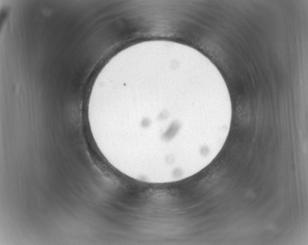 X0000071950534200607212229