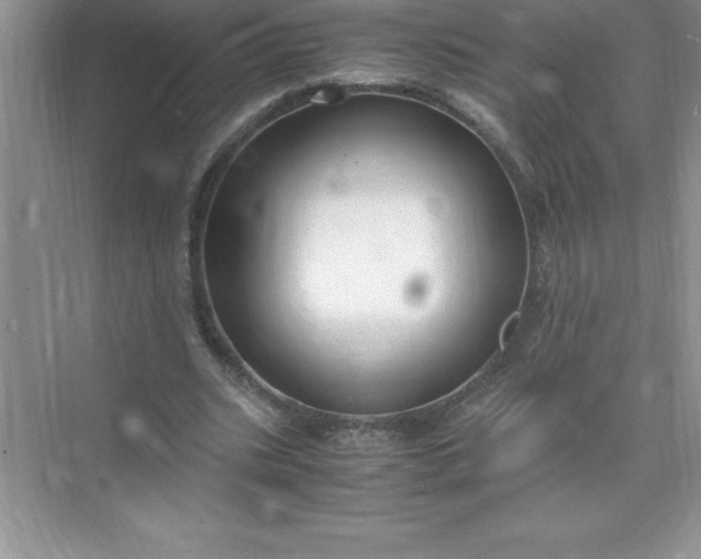 X0000071950535200607212229