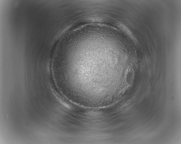 X0000071950537200607212229