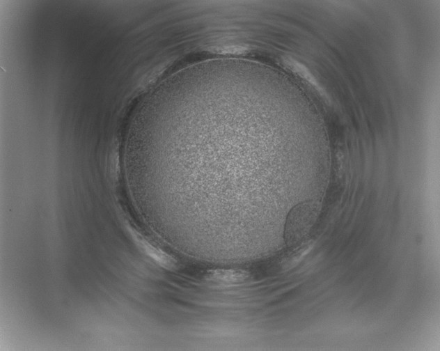 X0000071950541200607212229