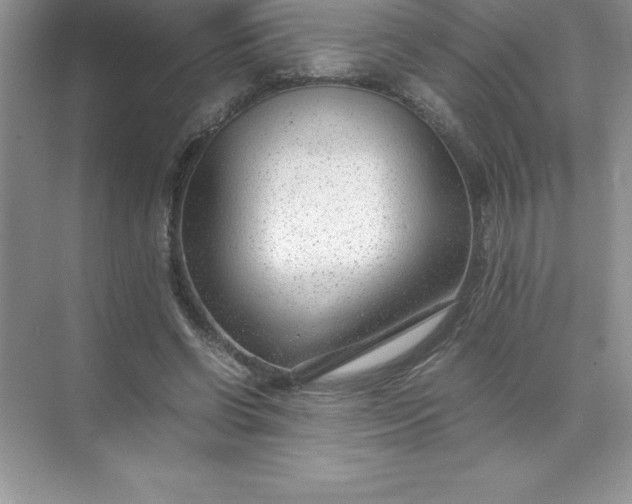 X0000071950542200607212229