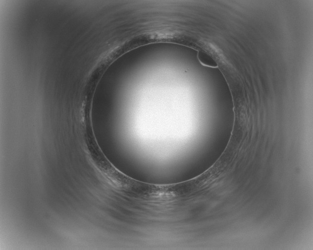 X0000071950543200607212229