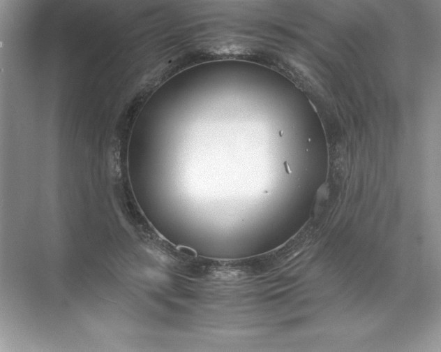 X0000071950547200607212229