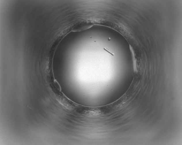 X0000071950548200607212229