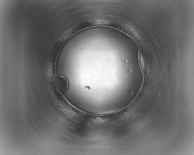 X0000071950549200607212229