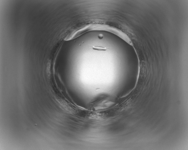 X0000071950550200607212229