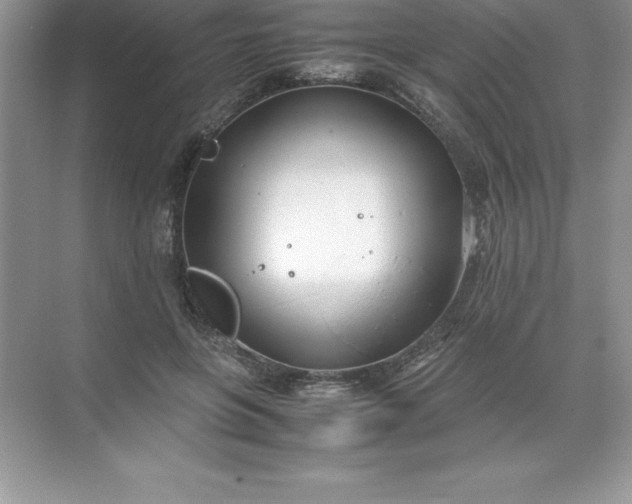 X0000071950551200607212229