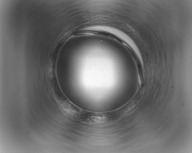 X0000071950552200607212229