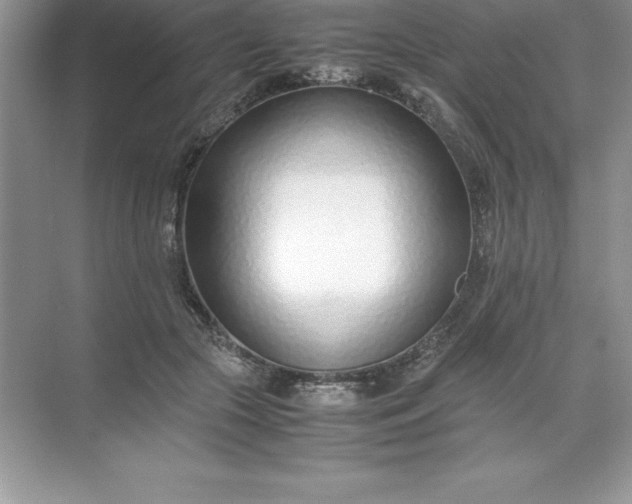 X0000071950553200607212229