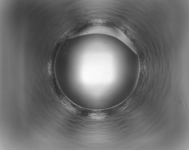 X0000071950556200607212229