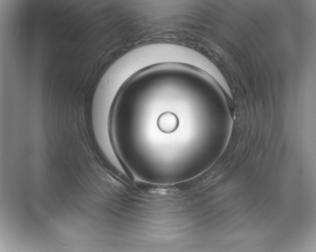 X0000071950558200607212229