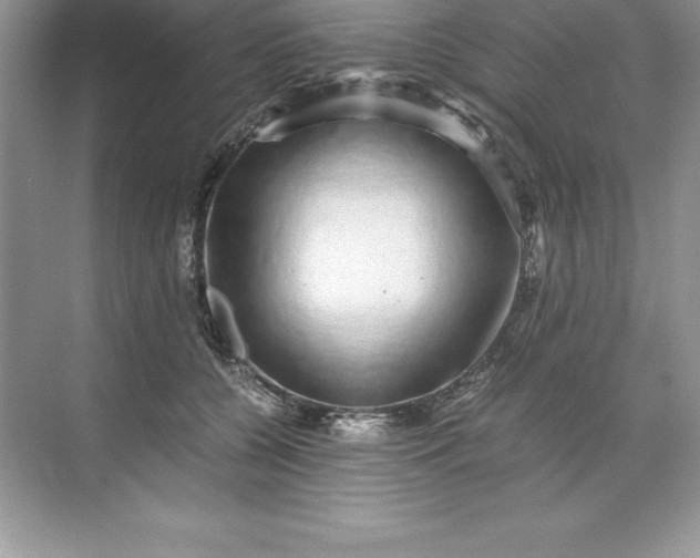 X0000071950560200607212229