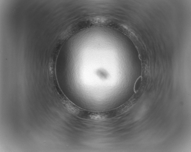 X0000071950561200607212229