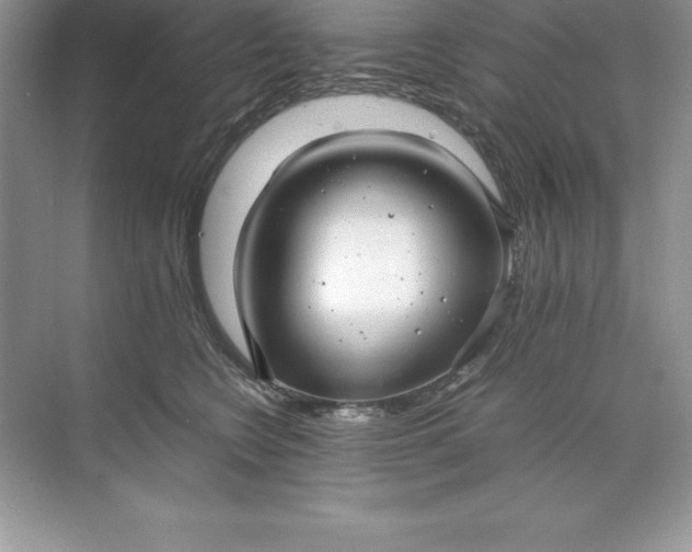 X0000071950566200607212229