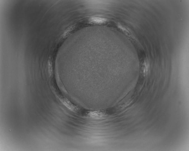 X0000071950568200607212229