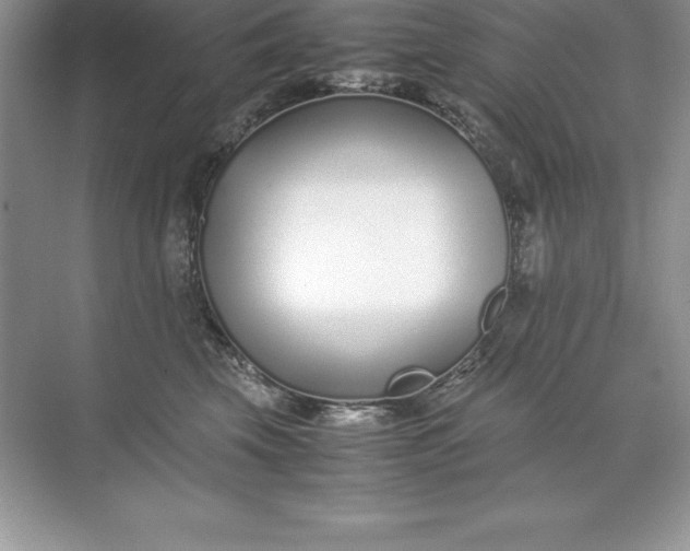 X0000071950569200607212229