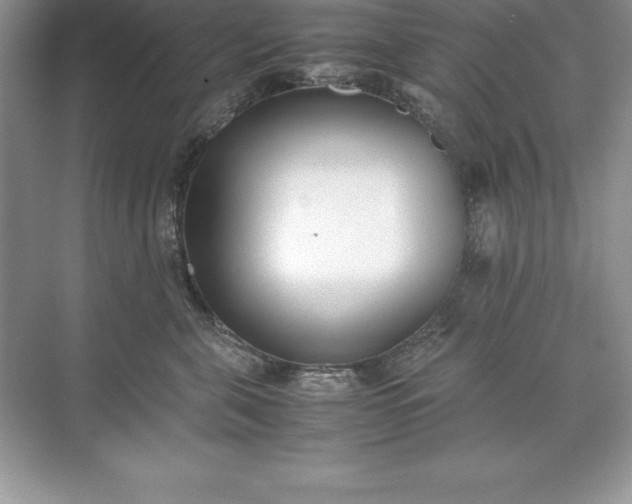 X0000071950571200607212229