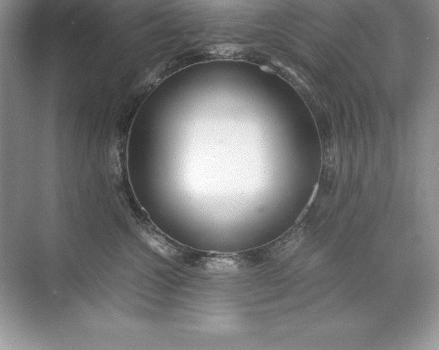 X0000071950572200607212229