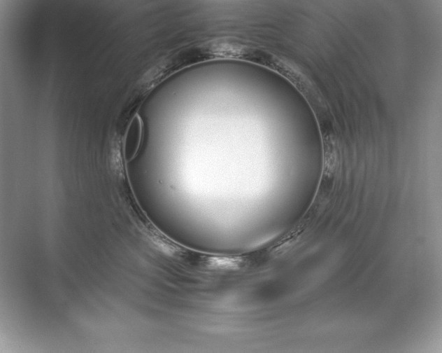 X0000071950573200607212229