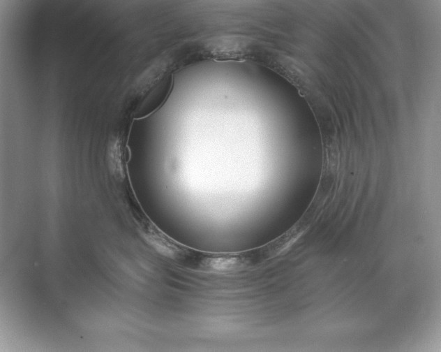 X0000071950575200607212229