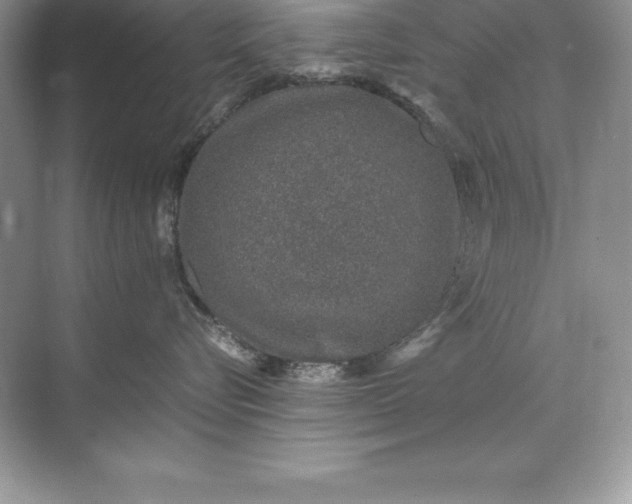 X0000071950576200607212229