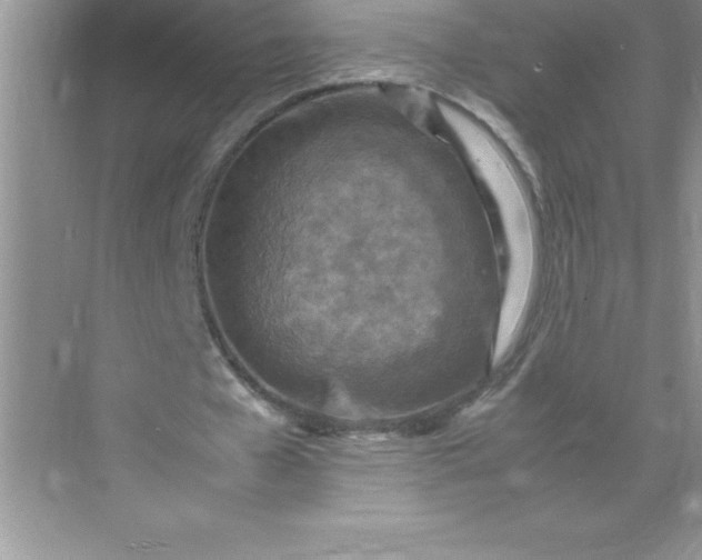 X0000071950577200607212229