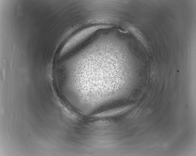 X0000071950578200607212229