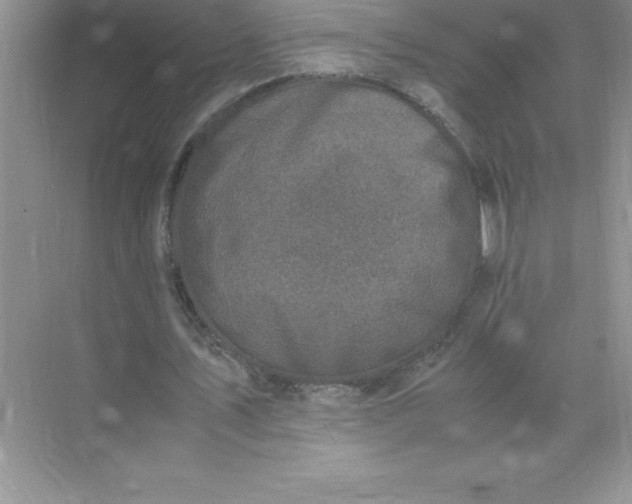 X0000071950579200607212229