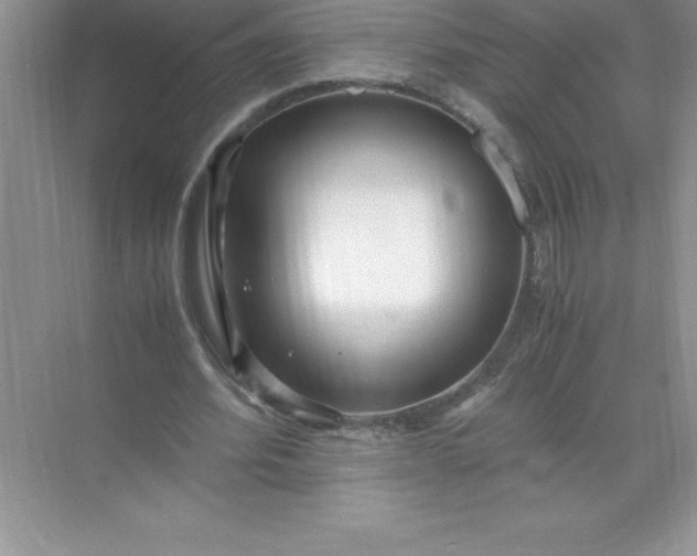 X0000071950580200607212229