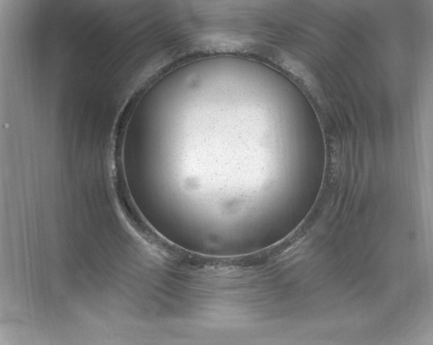 X0000071950582200607212229