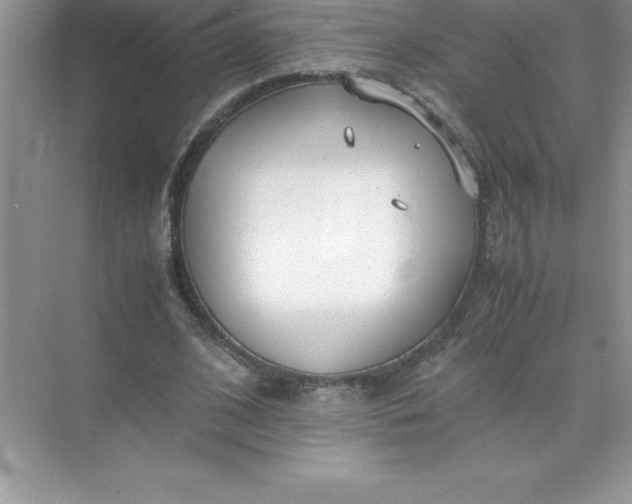 X0000071950584200607212229