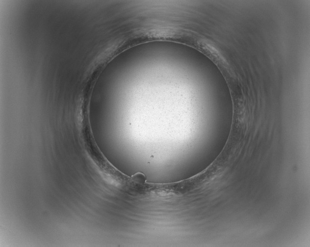 X0000071950586200607212229