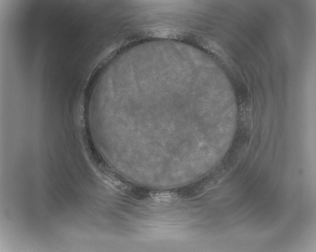 X0000071950587200607212228