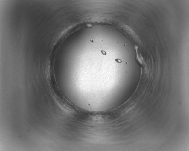 X0000071950588200607212228