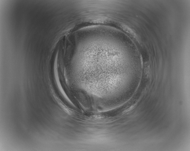 X0000071950589200607212228