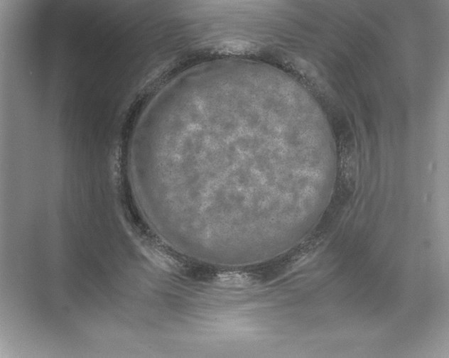 X0000071950591200607212228