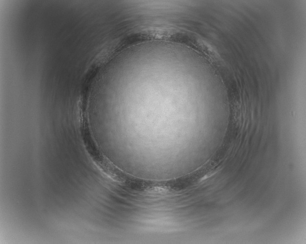 X0000071950594200607212228