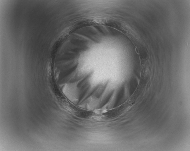 X0000071950595200607212228