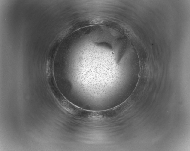 X0000071950598200607212228