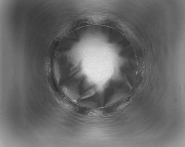 X0000071950599200607212228