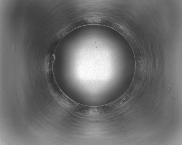 X0000071950600200607212228