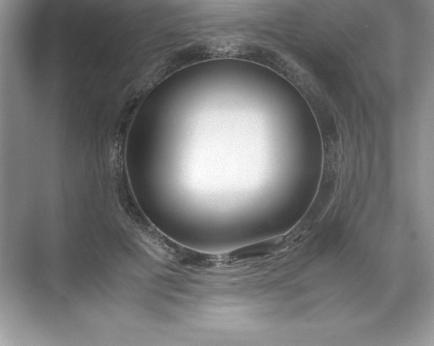 X0000071950601200607212228