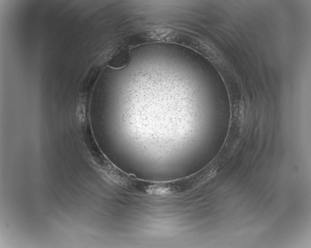 X0000071950602200607212228