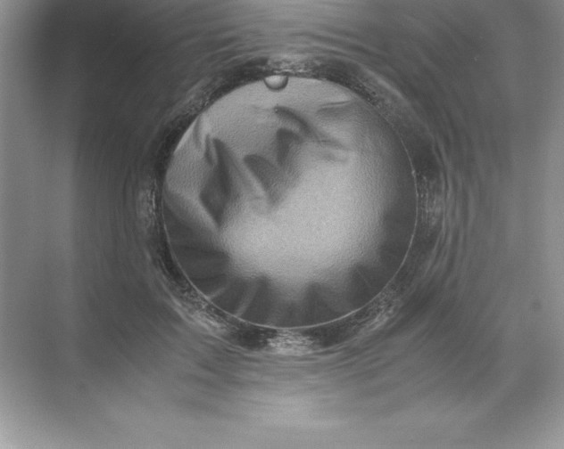 X0000071950603200607212228