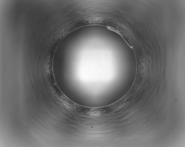 X0000071950604200607212228