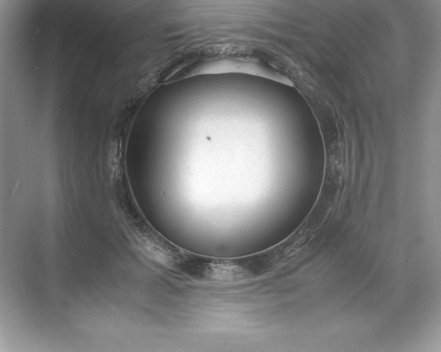 X0000071950605200607212228