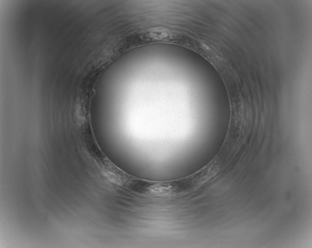 X0000071950606200607212228