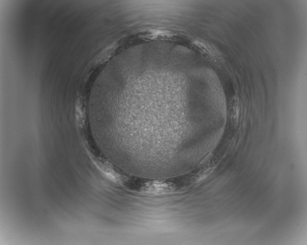 X0000071950607200607212228