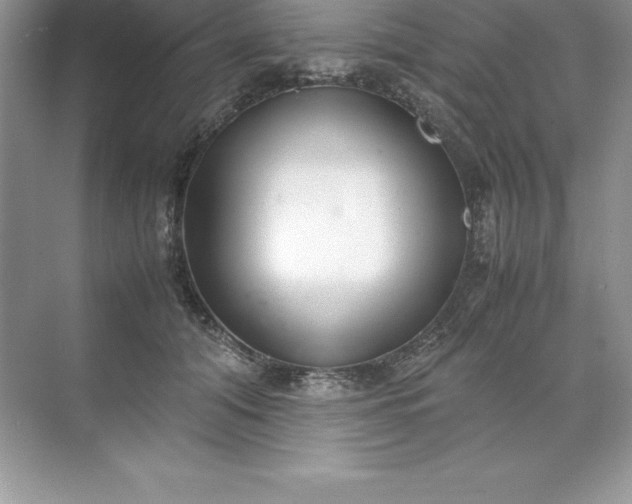 X0000071950608200607212228