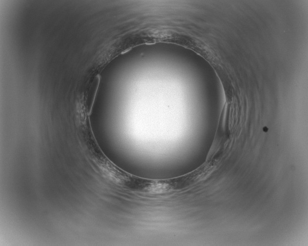 X0000071950609200607212228